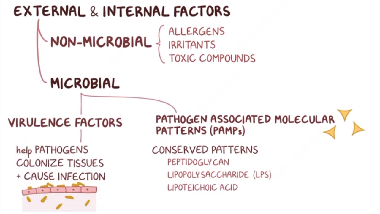 Inflammation