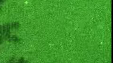 SHEP Observatory Captures UFOs & UAP Orbs with Military-Grade Night Vision!