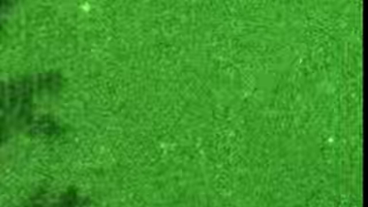 SHEP Observatory Captures UFOs & UAP Orbs with Military-Grade Night Vision!