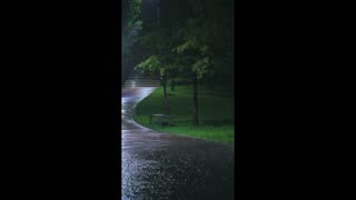 Silent Veins – peace moving under the skin.