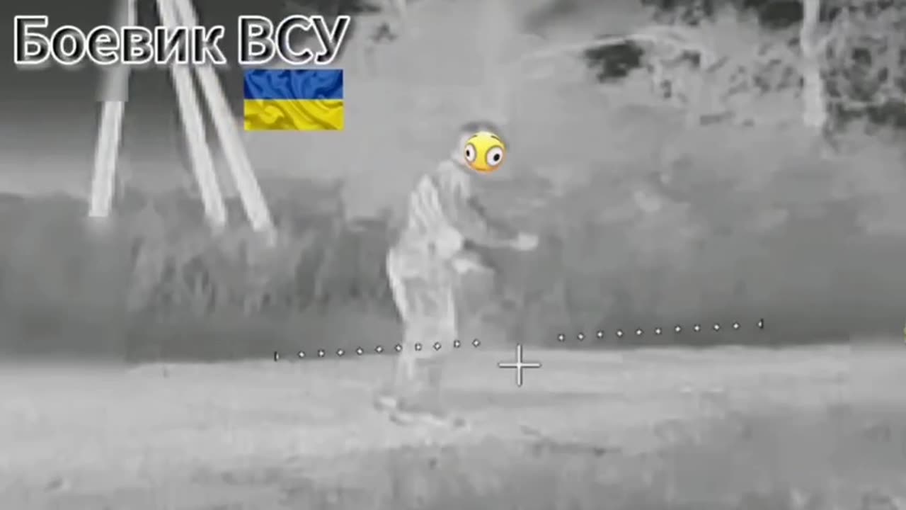 Pig ambushed