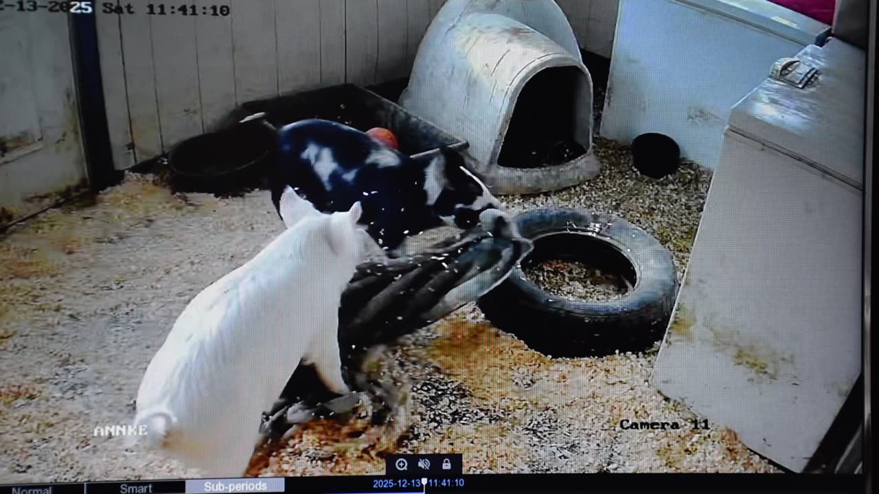 Zero to crazy in a second