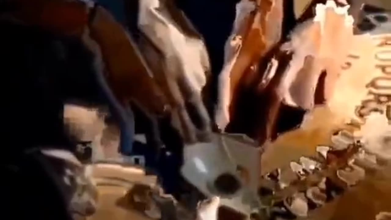 🕷️👻 On This Day, They Captured Something Unexplained! | TheHauntingHour