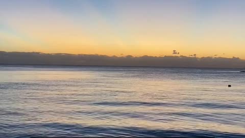 Daily Horoscope | Cancer 🌟