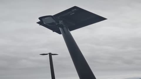 What the FLOCK is going on out here?