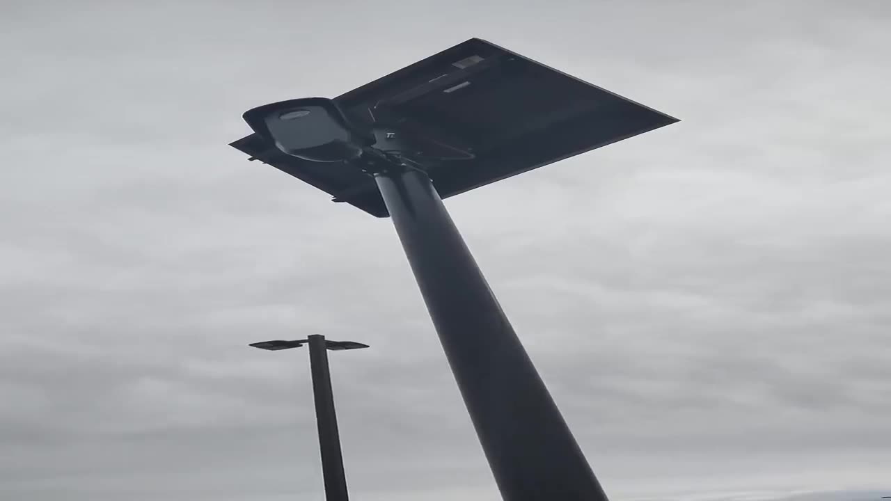 What the FLOCK is going on out here?