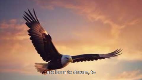 Wings of the Free V2