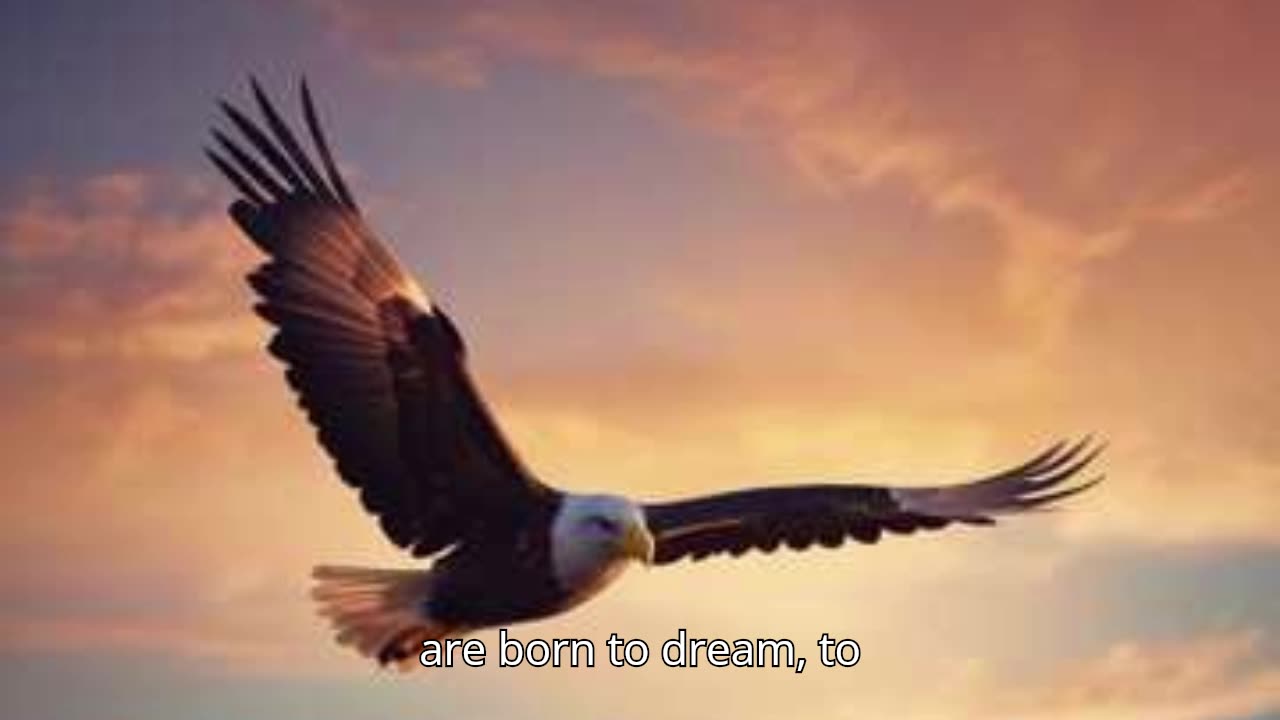 Wings of the Free V2