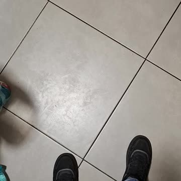 Mereu mi au placut animalele