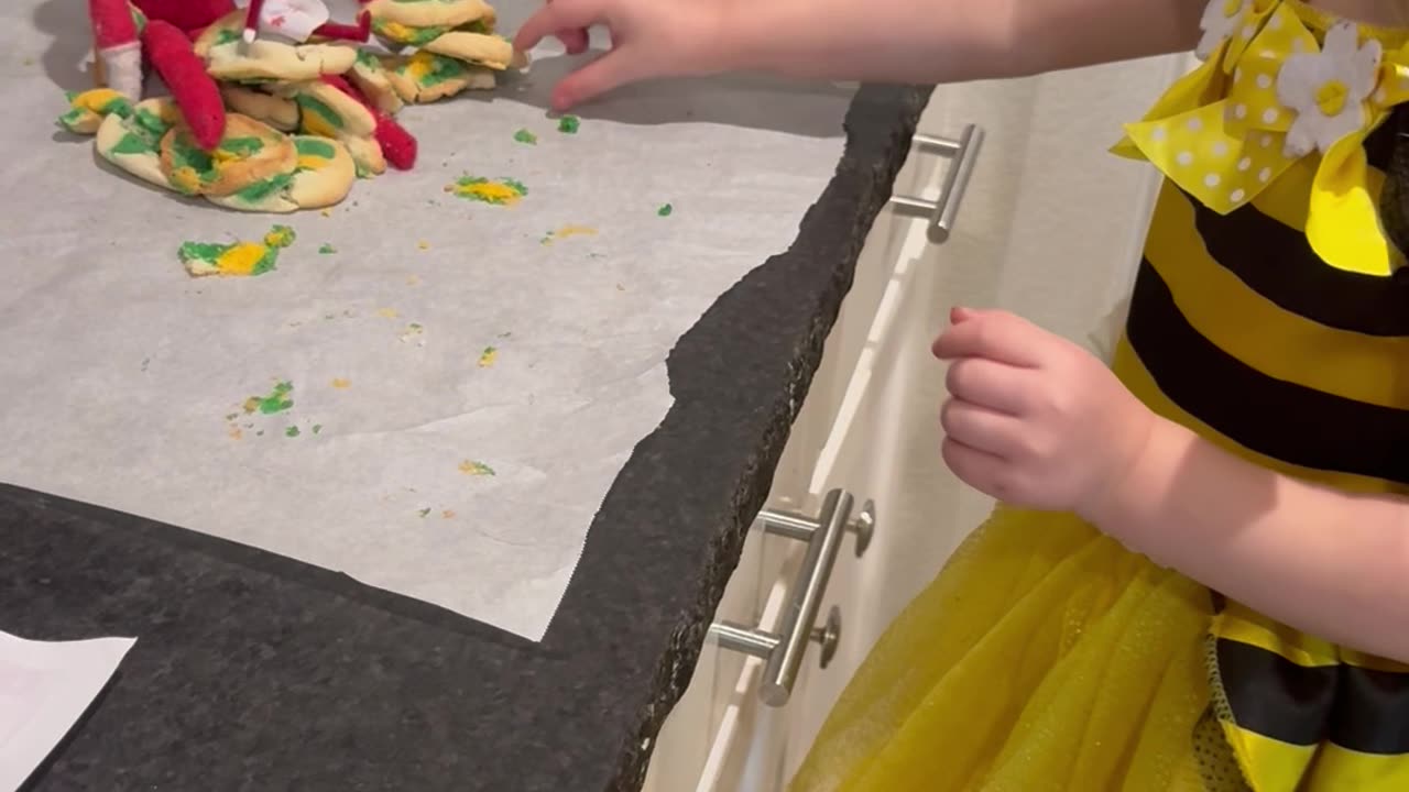 Girl Lectures Elf About Broken Cookies