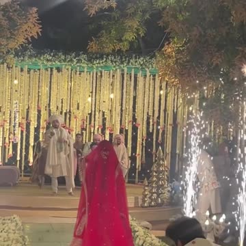 Un fotógrafo de bodas planea una toma perfecta y pasa esto