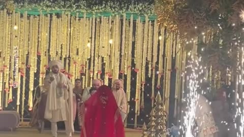 Un fotógrafo de bodas planea una toma perfecta y pasa esto