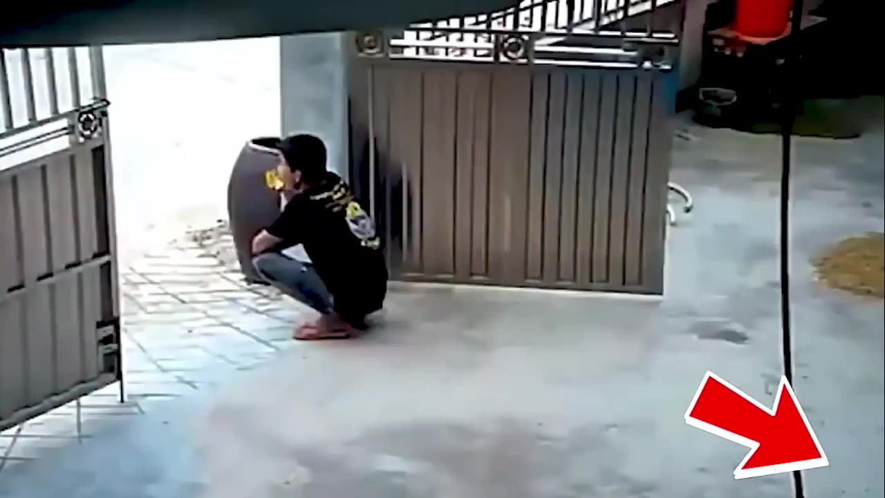27 Times Animals Saved Humans Life