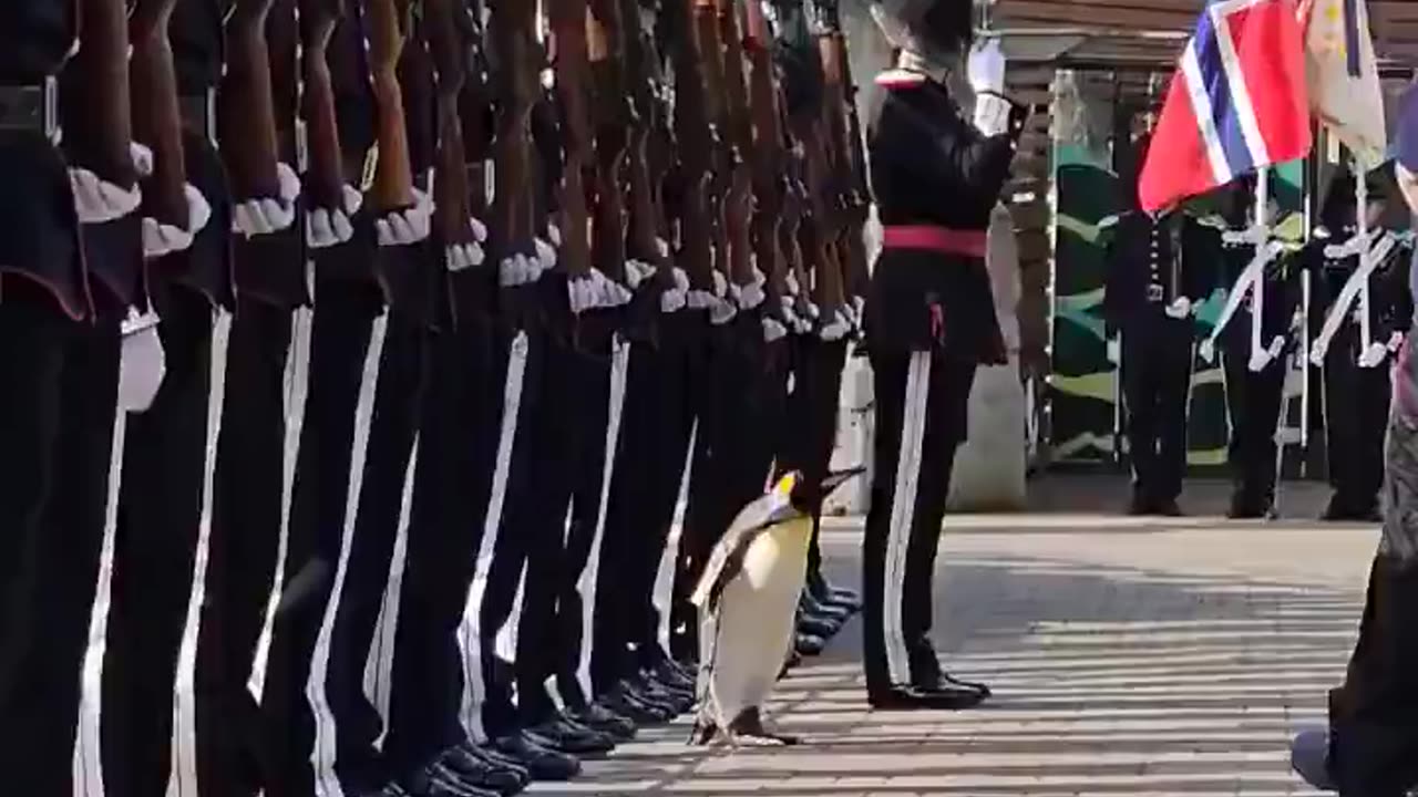 Royal guest checking the troops.. 😅