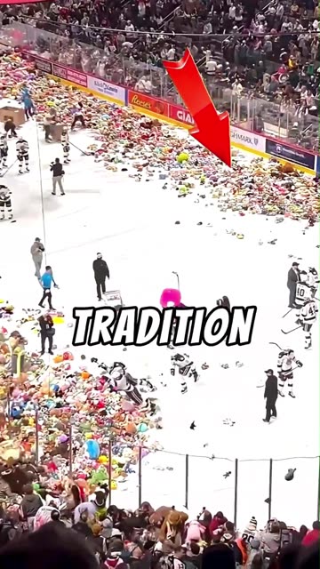 Why Fans Throw Teddy Bears On Ice❓😥 #shorts #usa #america