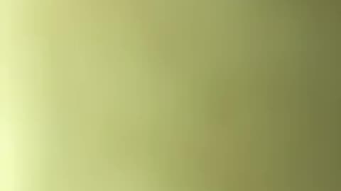 Hunter Biden in Trouble