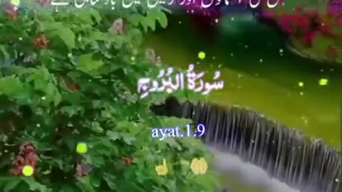 Beshak 💯♥️✨🕊️