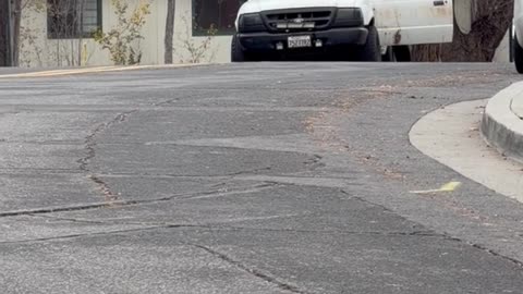 Sons Use Physics To Load Truck