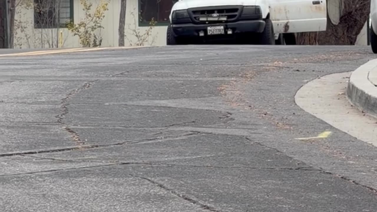 Sons Use Physics To Load Truck