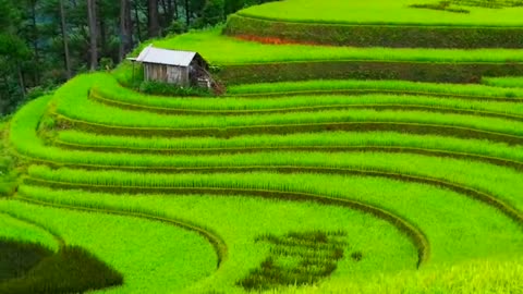 Top 10 most beautiful landscapes in the world – Terraced fields