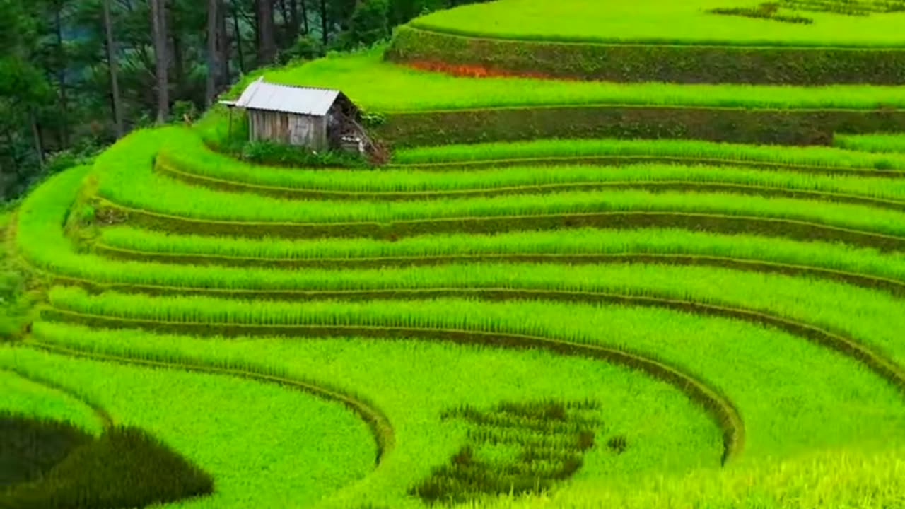 Top 10 most beautiful landscapes in the world – Terraced fields