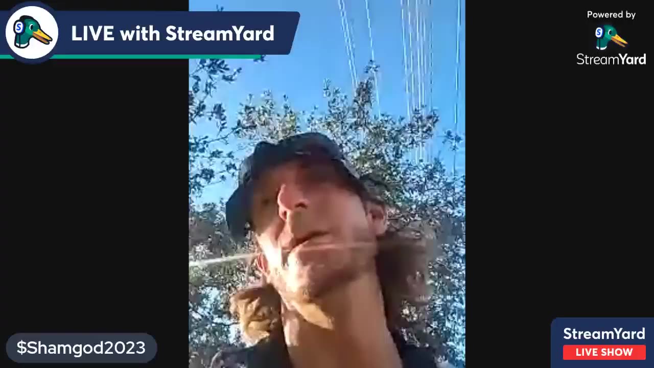 I Get Paid To Bring The FACTS!!! 🦇