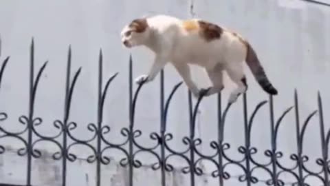 Can this brave agent survive the heights? Watch till the end 👀”