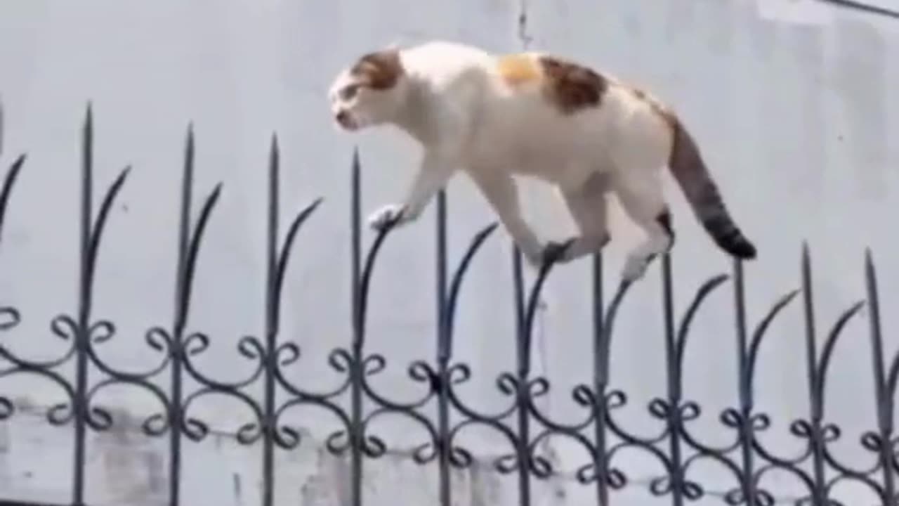 Can this brave agent survive the heights? Watch till the end 👀”