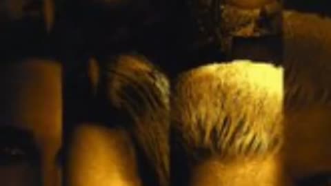 WWE Royal Rumble 2026 Poster Released