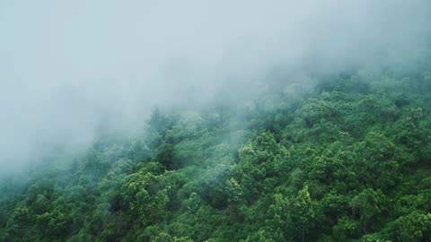 "Don’t be afraid to fail. Be afraid not to try."