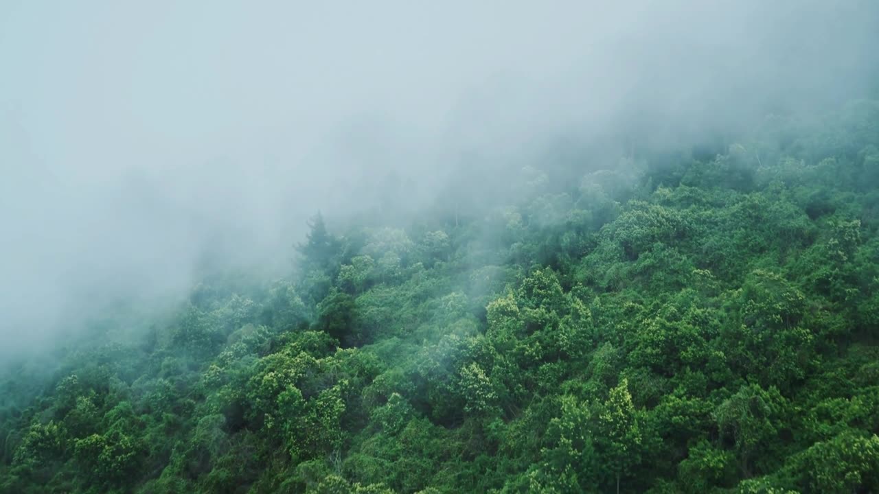 "Don’t be afraid to fail. Be afraid not to try."