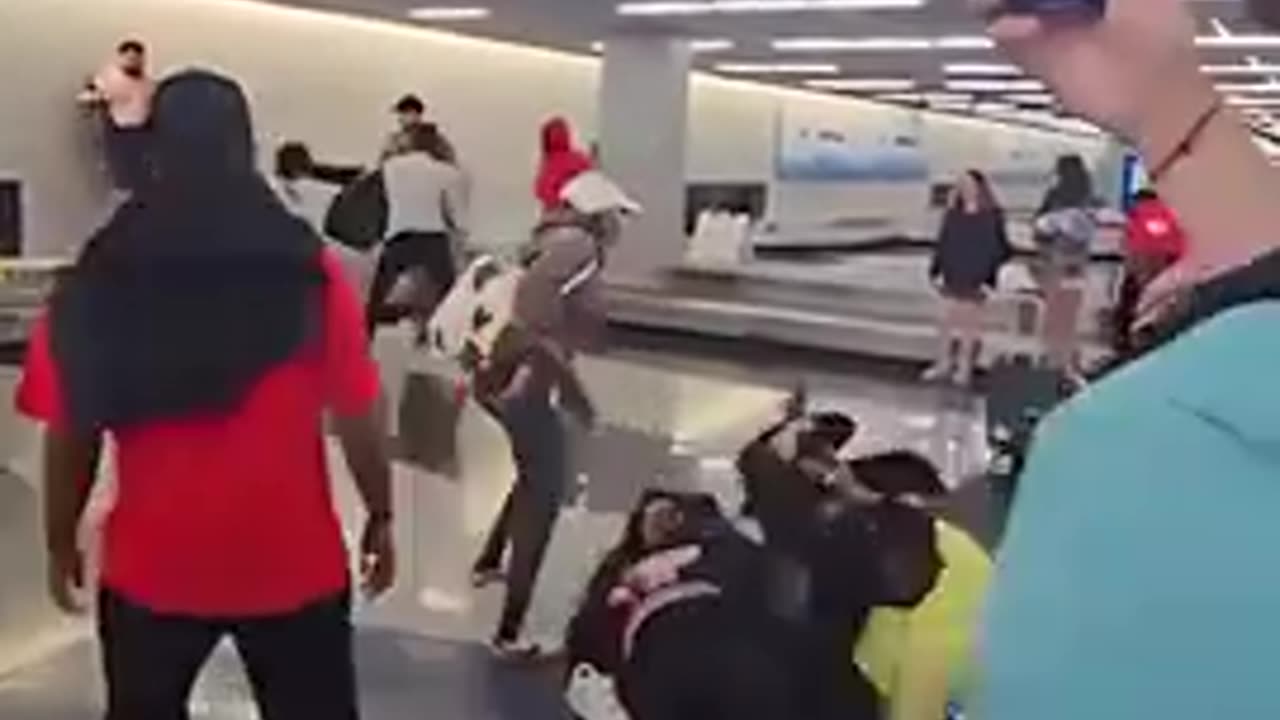 A group of violent diversity target white travelers and brutalize them at an airport.