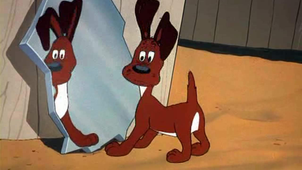 Looney Tunes Golden Collection S1954E06 No Barking