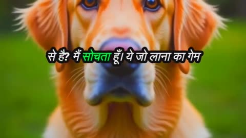 Dog Ke Deep Thoughts! Kya Seekha Life Mein? | Bolta Janwar AI #DogThoughts #BoltaJanwarAI