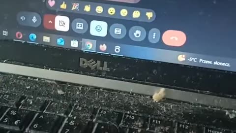 rozmowa z Natalia z Dania.