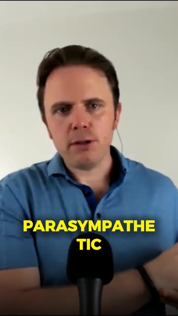 How Stress Destroys Digestion & What to Do