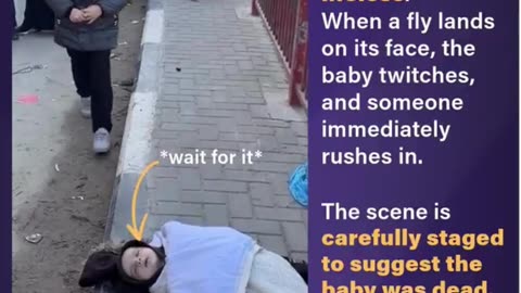 @msrachelforlittles is lying about Gaza to make money