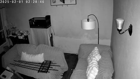 😨🔮 More Orbs Captured! What Are They? | TheHauntingHour