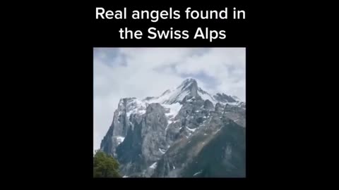 D'étranges créatures angéliques dans les Alpes suisses