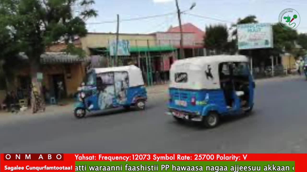 Oduu Ganama ONM-ABO Fulbaana 28-2025 itti dhiyaadhaa!