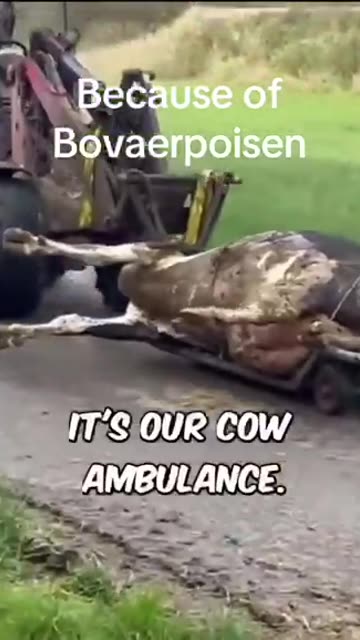 TOXIC BEEF SUPPLY — BEEF PRICES HAVE SKYROCKETED IN PART BECAUSE COWS ARE DYING