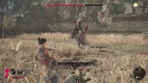Wuchang Fallen Feathers 2