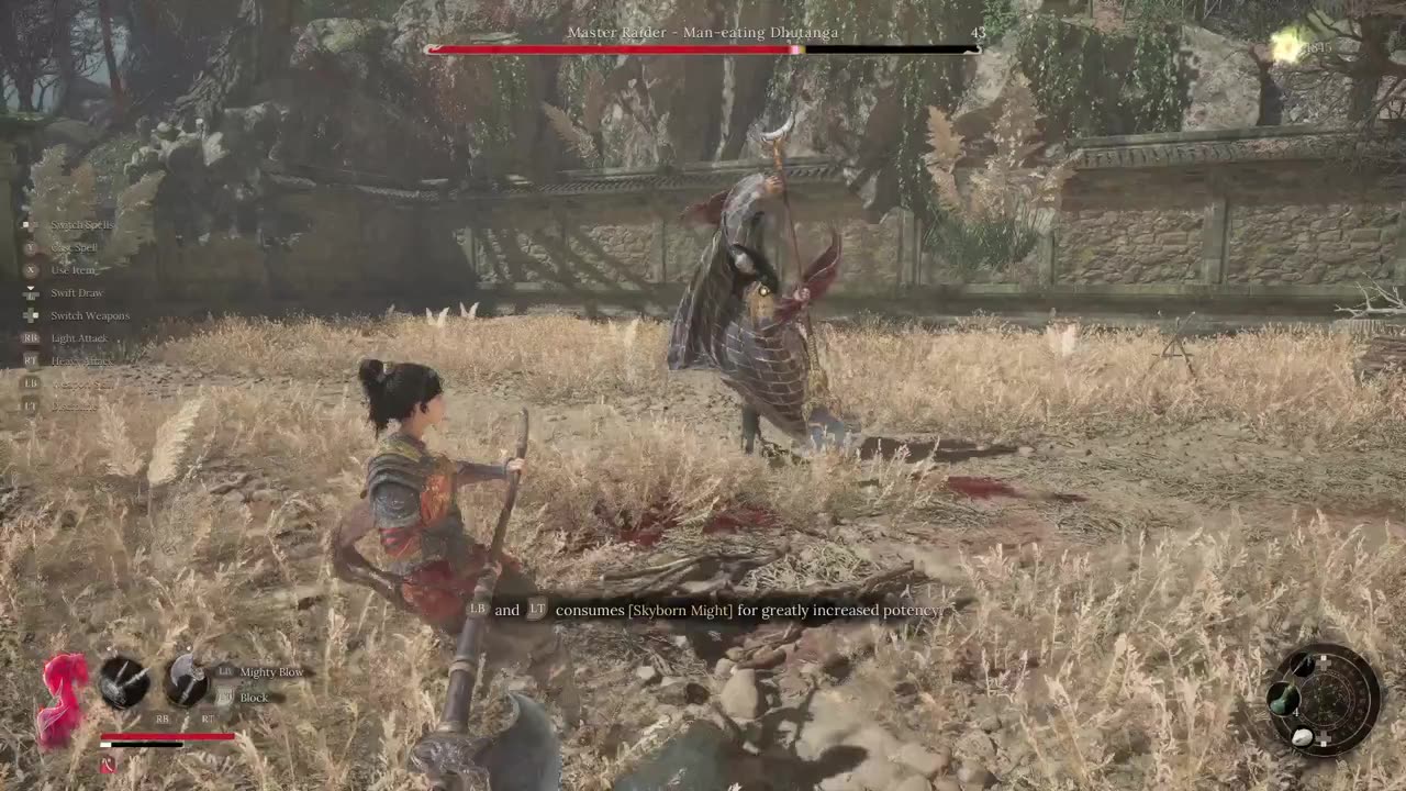Wuchang Fallen Feathers 2