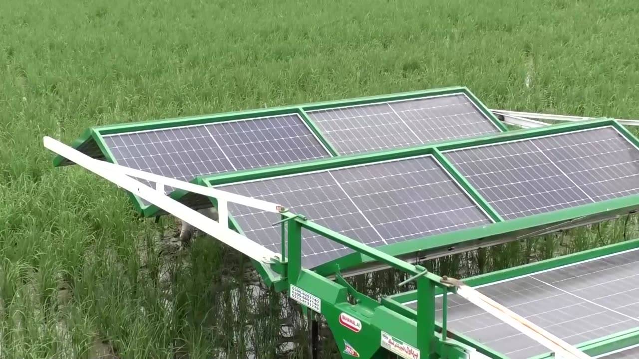 Is Pakistan's solar-powered farming driving a long-term water crisis?