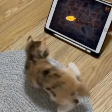 Doing aim training before street fights 😍❤️