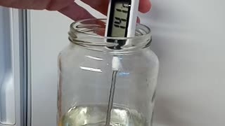 Tap Water vs Room Temp: Your Plants Feel The Difference!