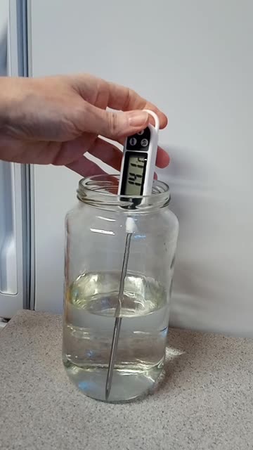 Tap Water vs Room Temp: Your Plants Feel The Difference!