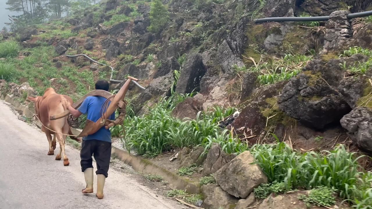 Riding on the Ha Giang Loop in Vietnam (part 8)