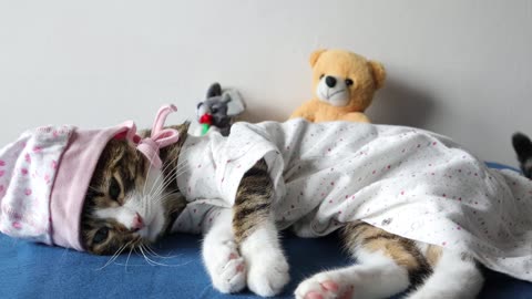 Sleeping cat on the bed with pajamas 😻