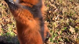 Enjoying the sun this morning?